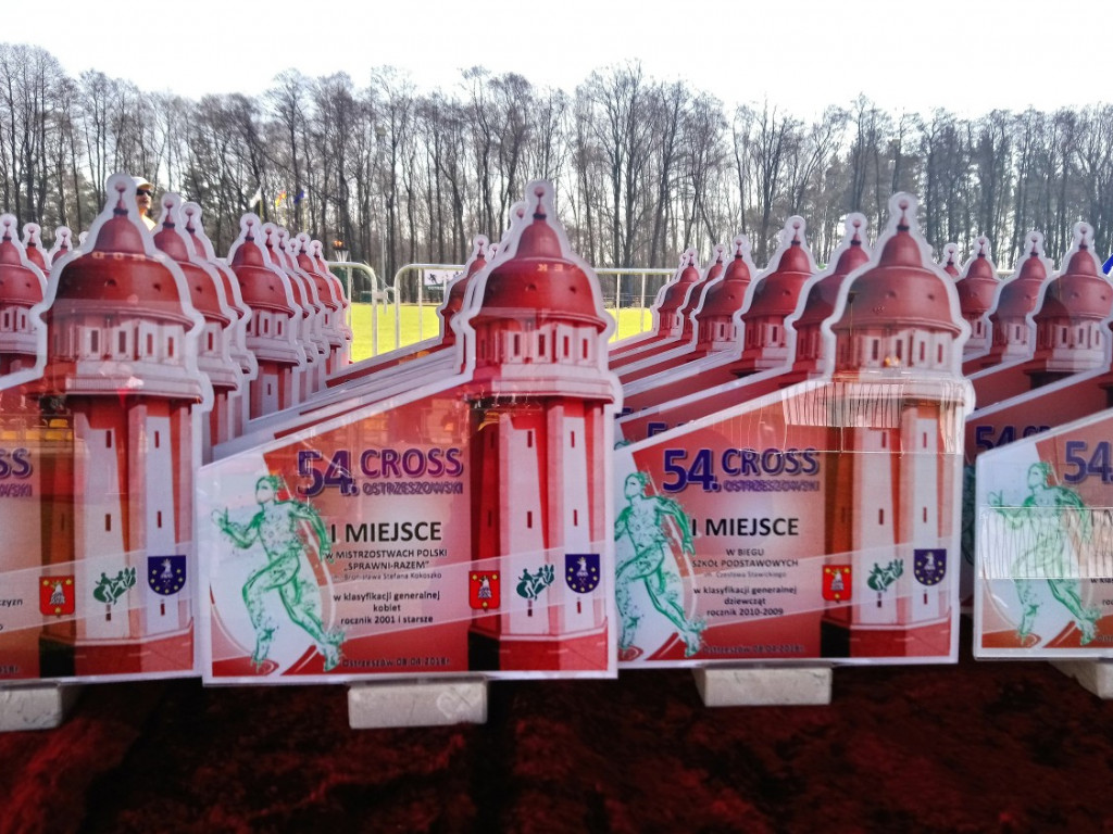 Wielkie święto sportu w Ostrzeszowie (cz. 1)