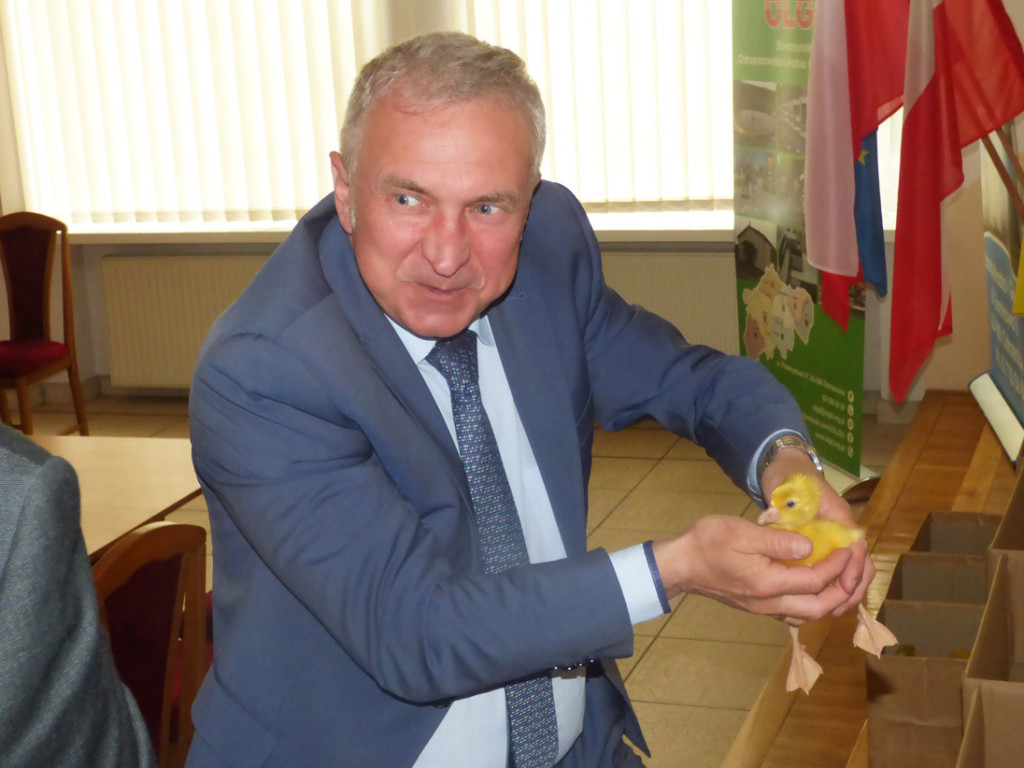 Rozdali pół tysiąca gęsi