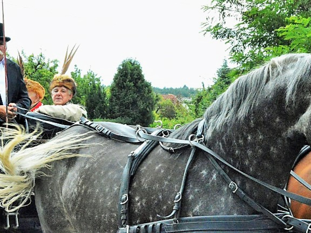 Wiwat Król Roman (WIĘCEJ ZDJĘĆ)