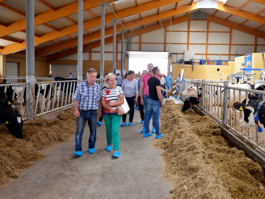 KRASZEWICE: Otwarli na wskroś nowoczesną oborę