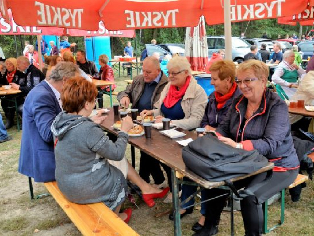 Kopytka ze szpinakiem, z polędwiczkami w sosie kurkowym...