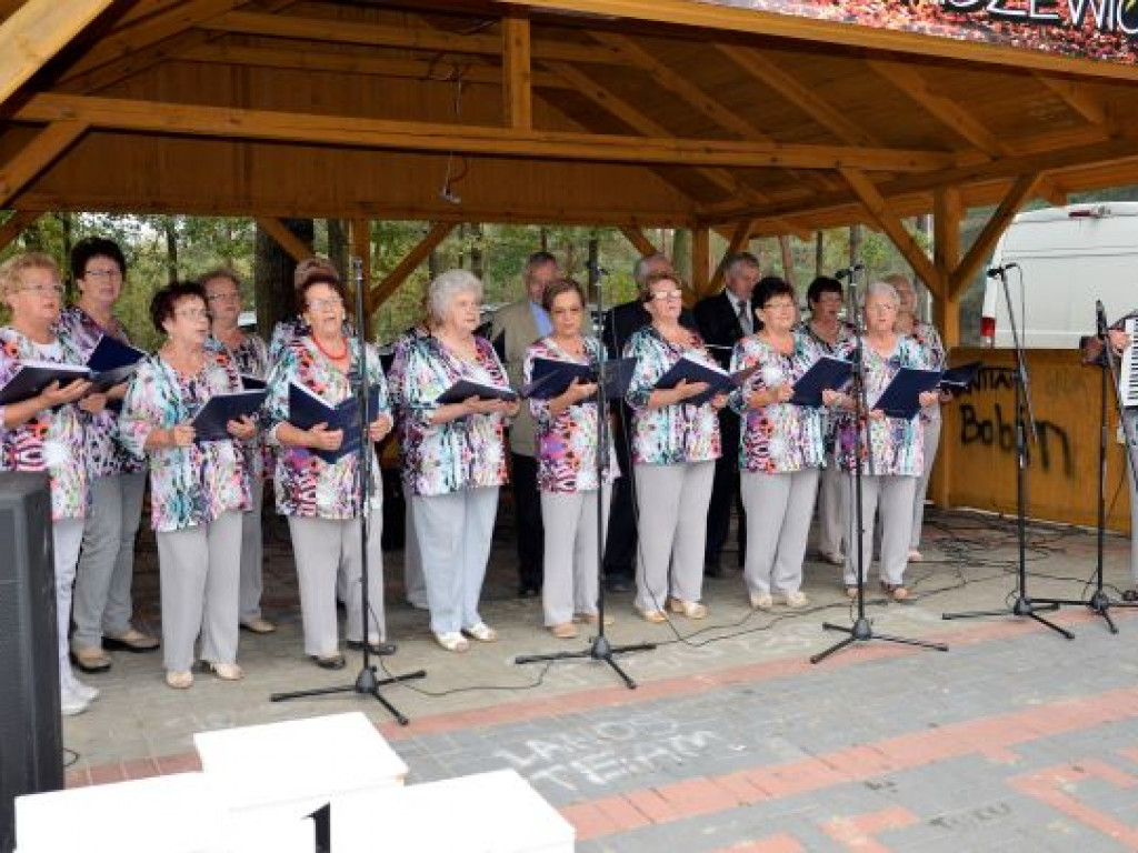 Kopytka ze szpinakiem, z polędwiczkami w sosie kurkowym...