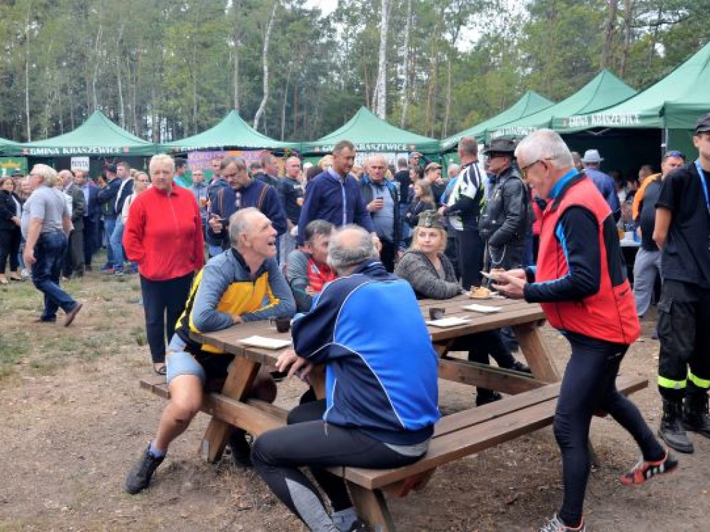 Kopytka ze szpinakiem, z polędwiczkami w sosie kurkowym...