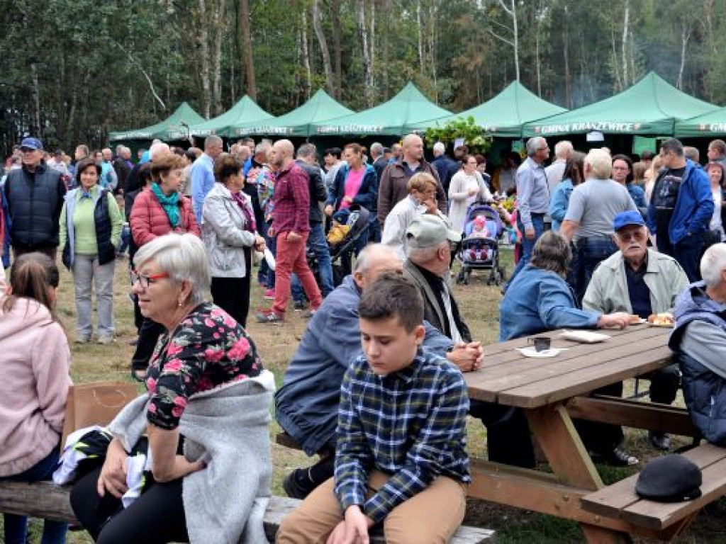 Kopytka ze szpinakiem, z polędwiczkami w sosie kurkowym...