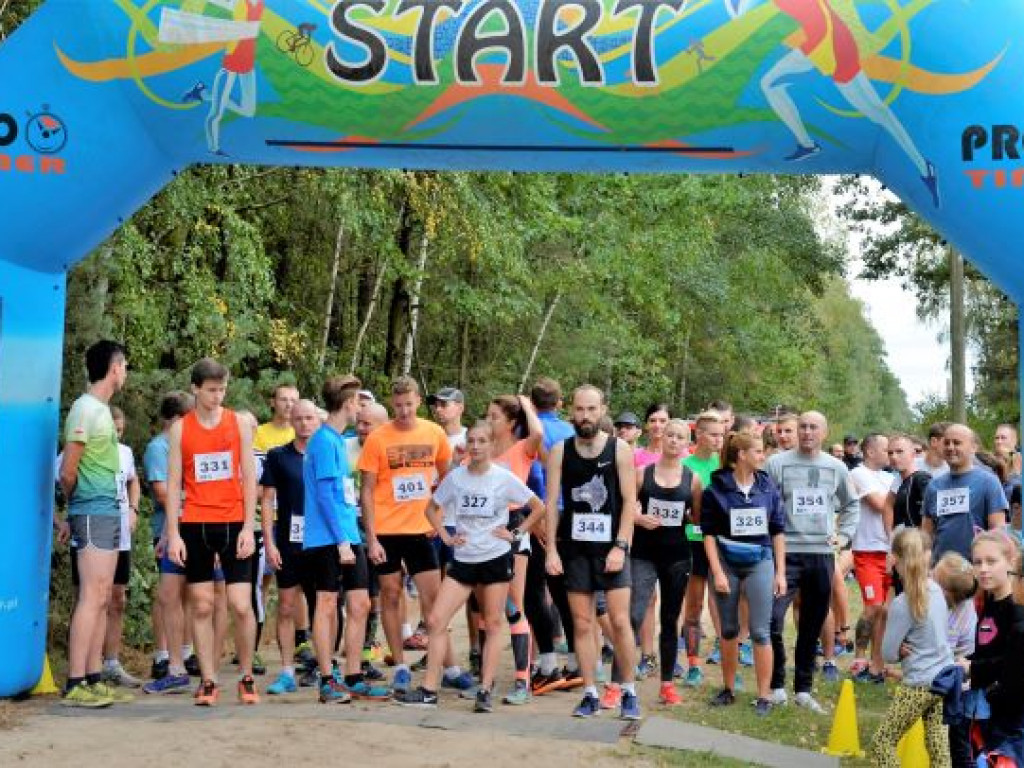 Kopytka ze szpinakiem, z polędwiczkami w sosie kurkowym...