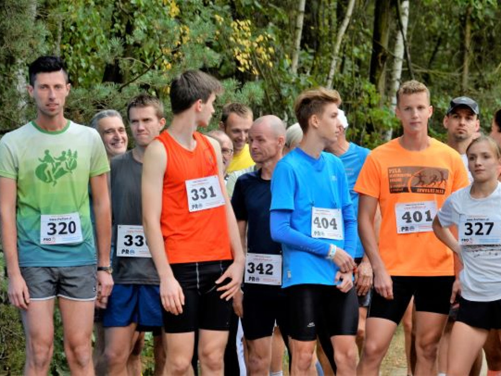 Kopytka ze szpinakiem, z polędwiczkami w sosie kurkowym...