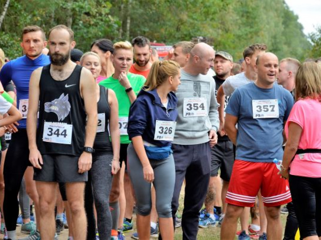 Kopytka ze szpinakiem, z polędwiczkami w sosie kurkowym...