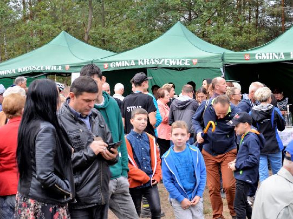 Kopytka ze szpinakiem, z polędwiczkami w sosie kurkowym...