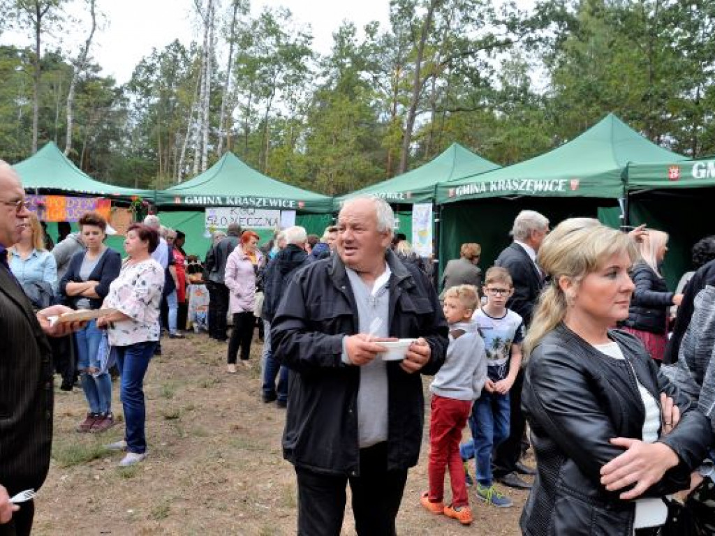 Kopytka ze szpinakiem, z polędwiczkami w sosie kurkowym...