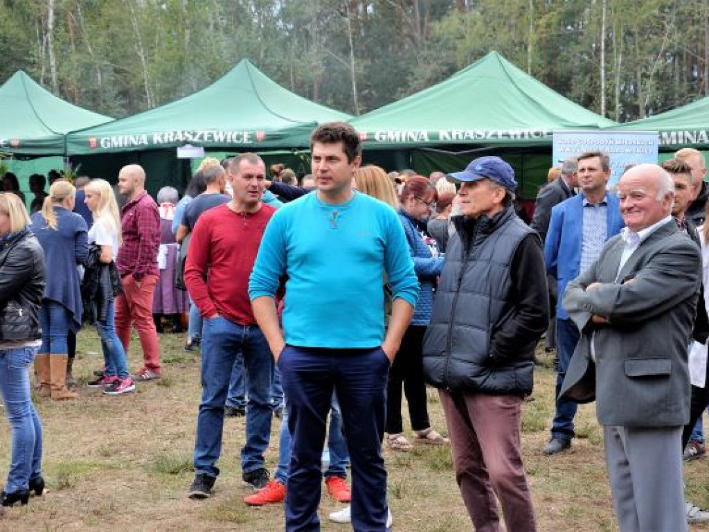 Kopytka ze szpinakiem, z polędwiczkami w sosie kurkowym...