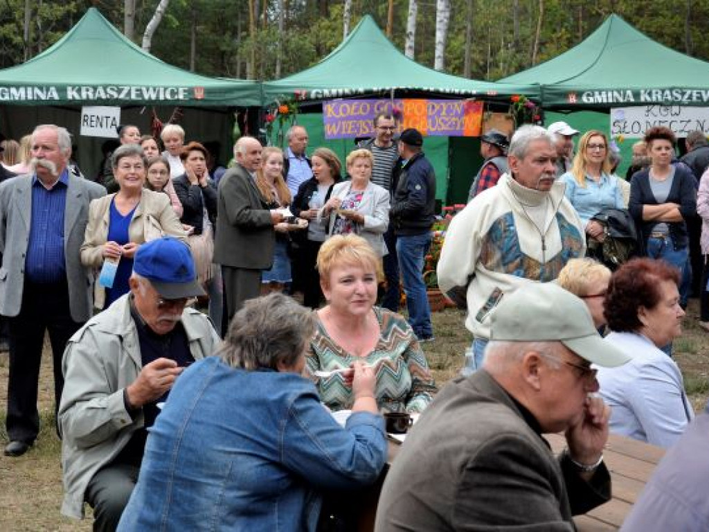 Kopytka ze szpinakiem, z polędwiczkami w sosie kurkowym...