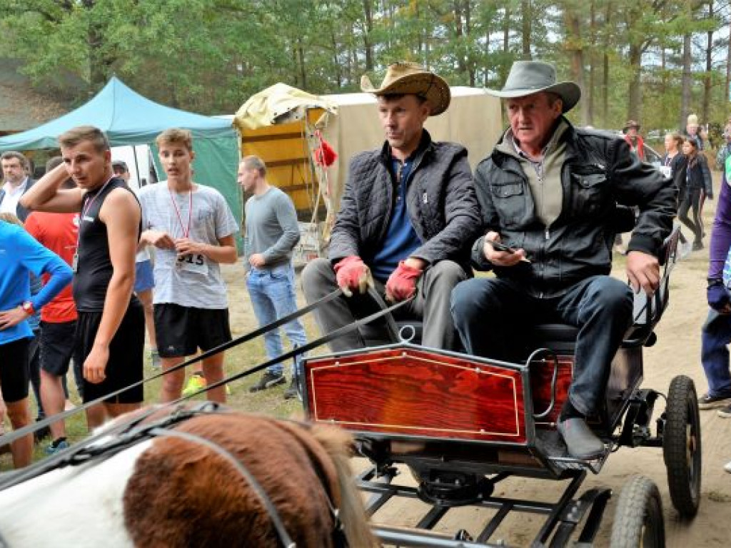 Kopytka ze szpinakiem, z polędwiczkami w sosie kurkowym...
