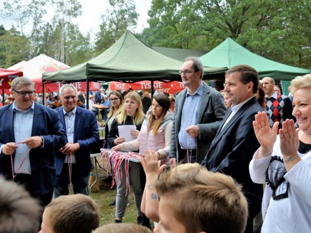 Kopytka ze szpinakiem, z polędwiczkami w sosie kurkowym...