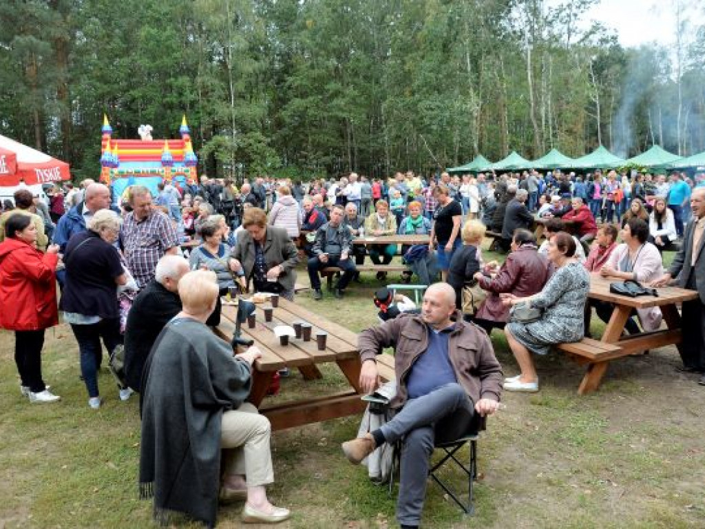 Kopytka ze szpinakiem, z polędwiczkami w sosie kurkowym...