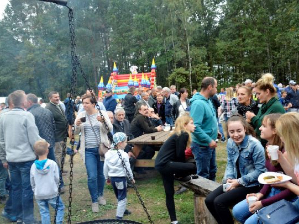 Kopytka ze szpinakiem, z polędwiczkami w sosie kurkowym...