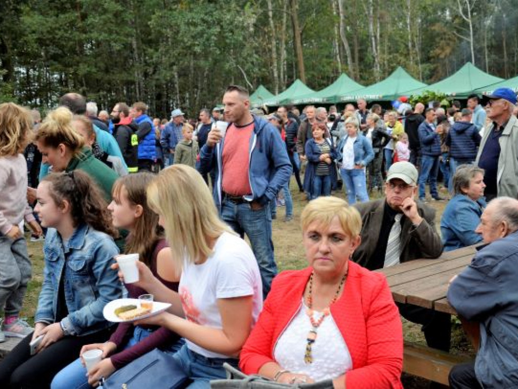 Kopytka ze szpinakiem, z polędwiczkami w sosie kurkowym...