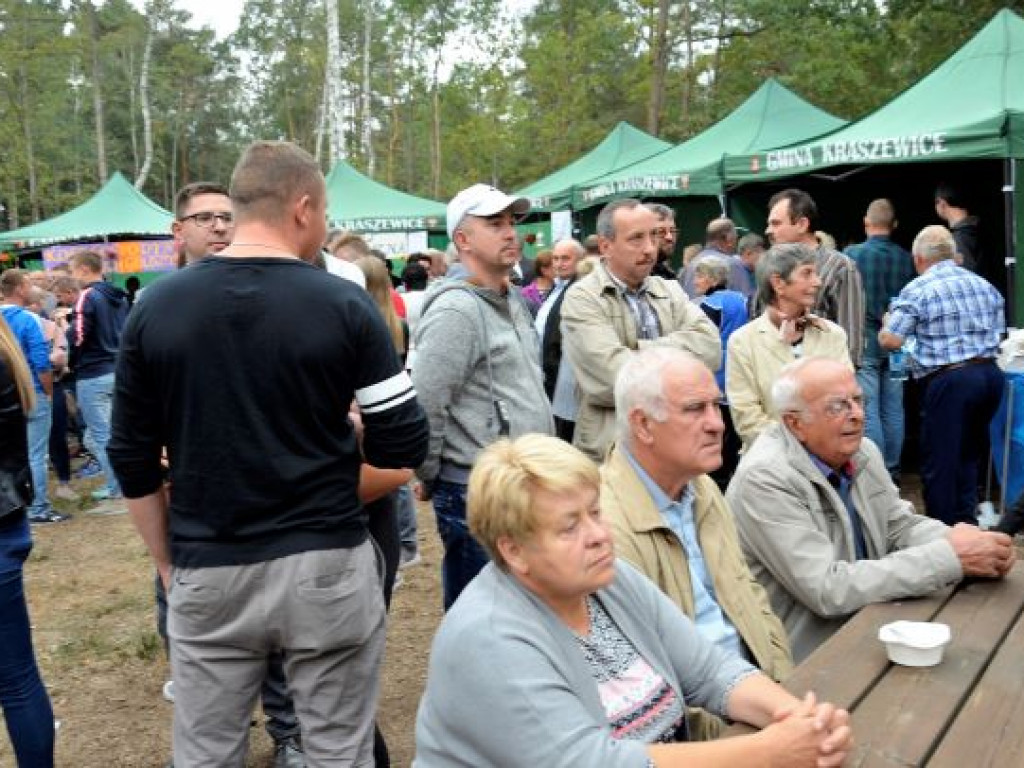 Kopytka ze szpinakiem, z polędwiczkami w sosie kurkowym...