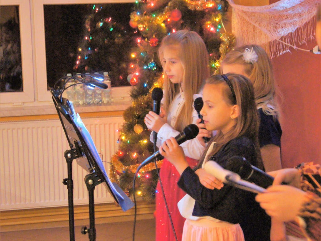 Świąteczne kolędowanie w Skrzynkach