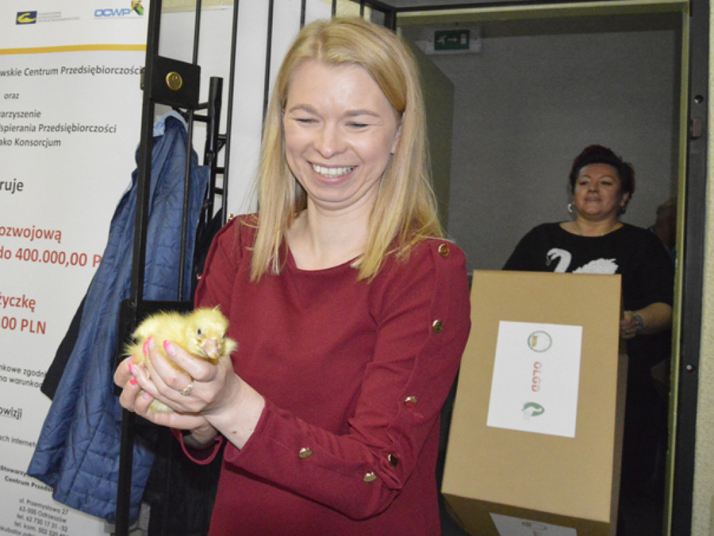 Ostrzeszowska Lokalna Grupa Działania rozdała gąski i gąsiorki (FILM)