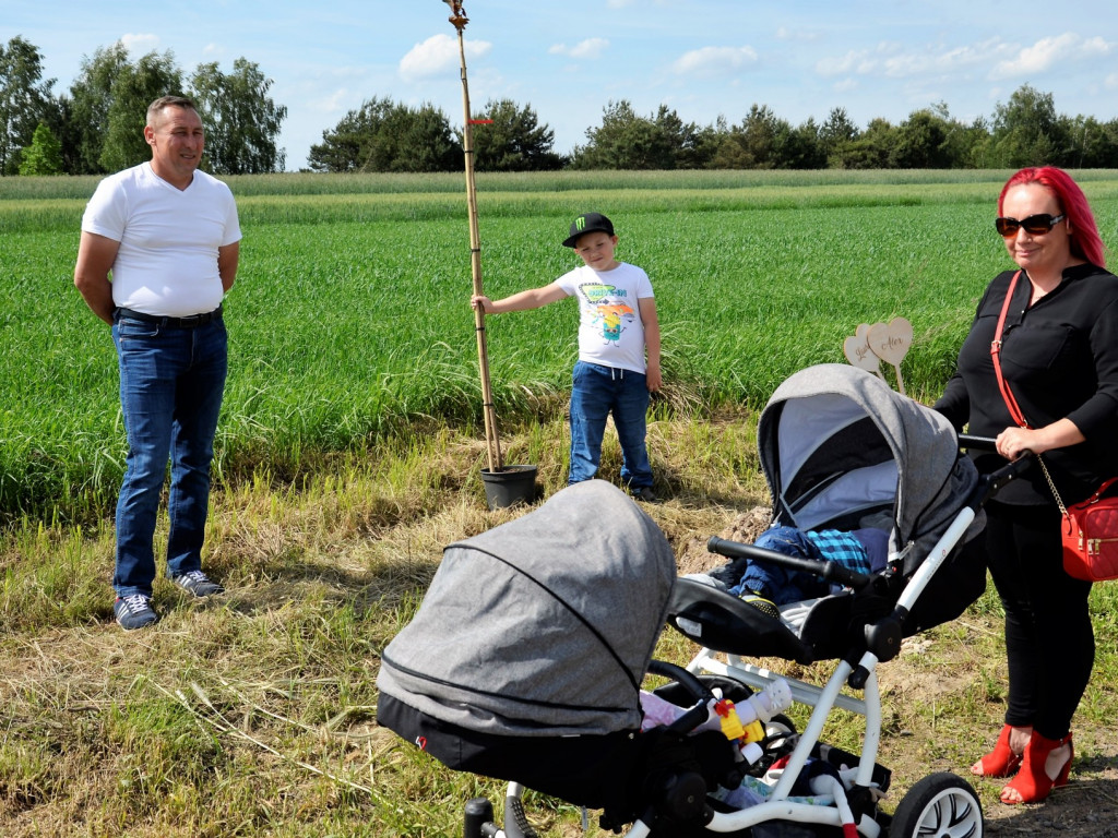 Będą się rozwijać i rosnąć razem z ich pociechami