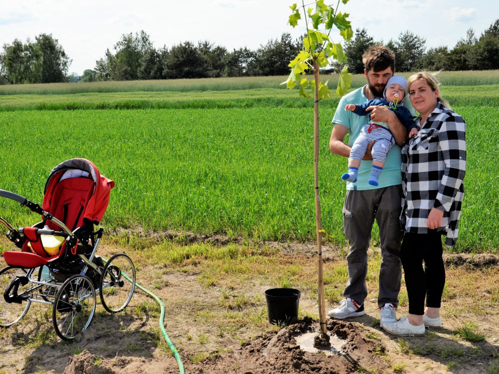 Będą się rozwijać i rosnąć razem z ich pociechami