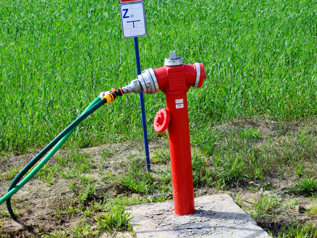 Będą się rozwijać i rosnąć razem z ich pociechami