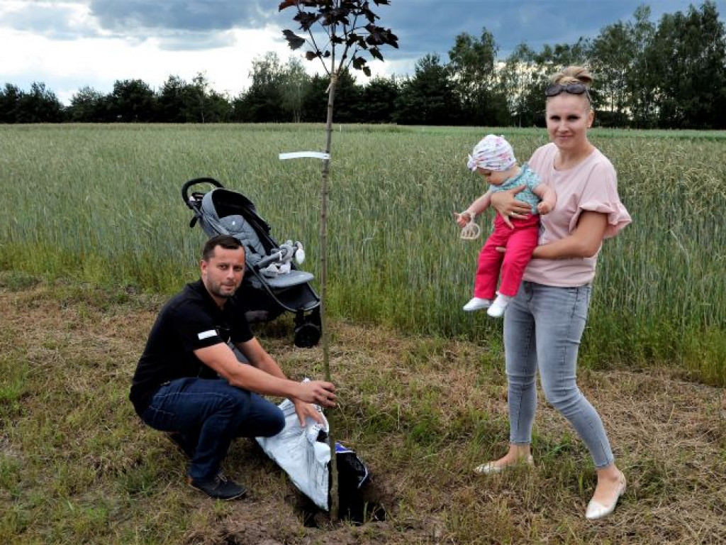 KRASZEWICE: Posadzili drzewa na cześć najmłodszych mieszkańców gminy