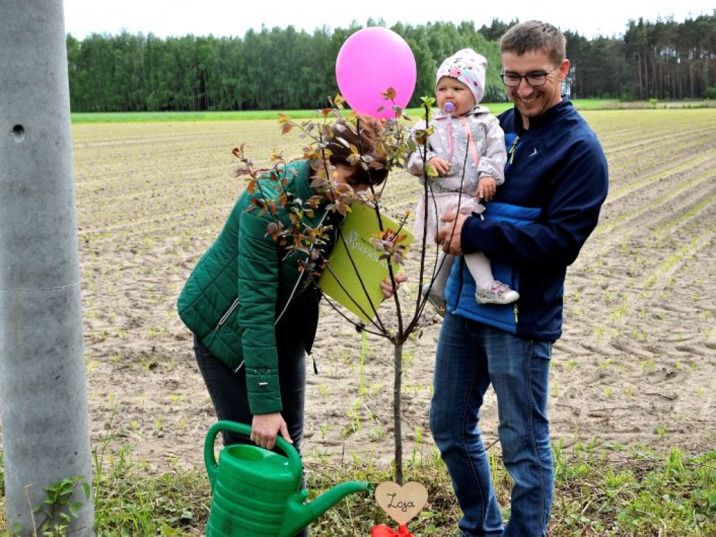 KRASZEWICE: Urodzeni w 2020 roku mają swoje drzewka