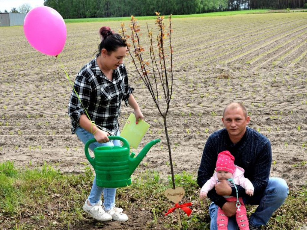 KRASZEWICE: Urodzeni w 2020 roku mają swoje drzewka