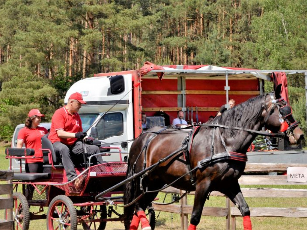 Zawody w Powożeniu Zaprzęgami Konnymi w Kraszewicach