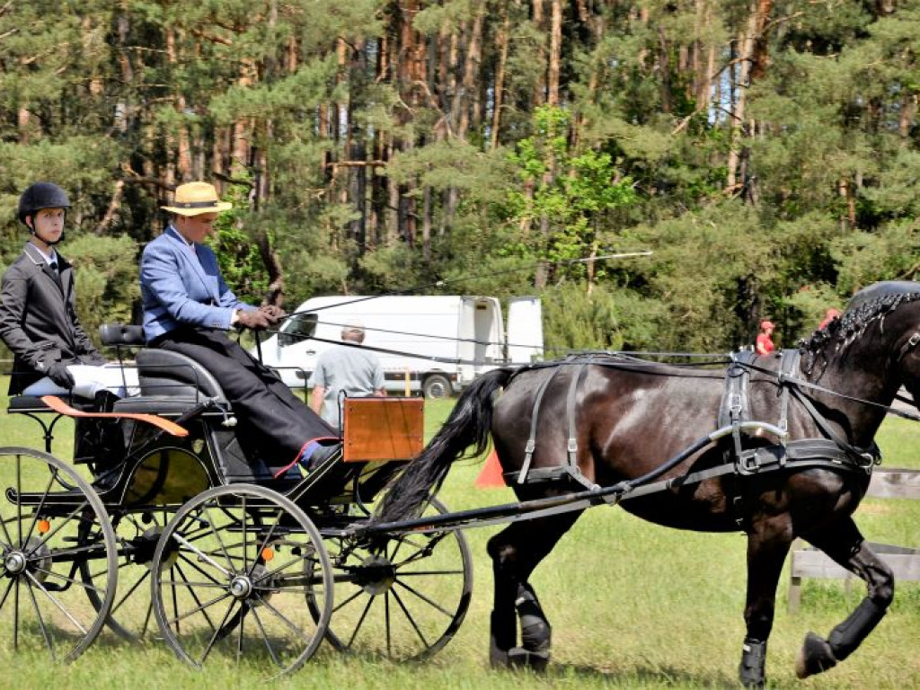 Zawody w Powożeniu Zaprzęgami Konnymi w Kraszewicach