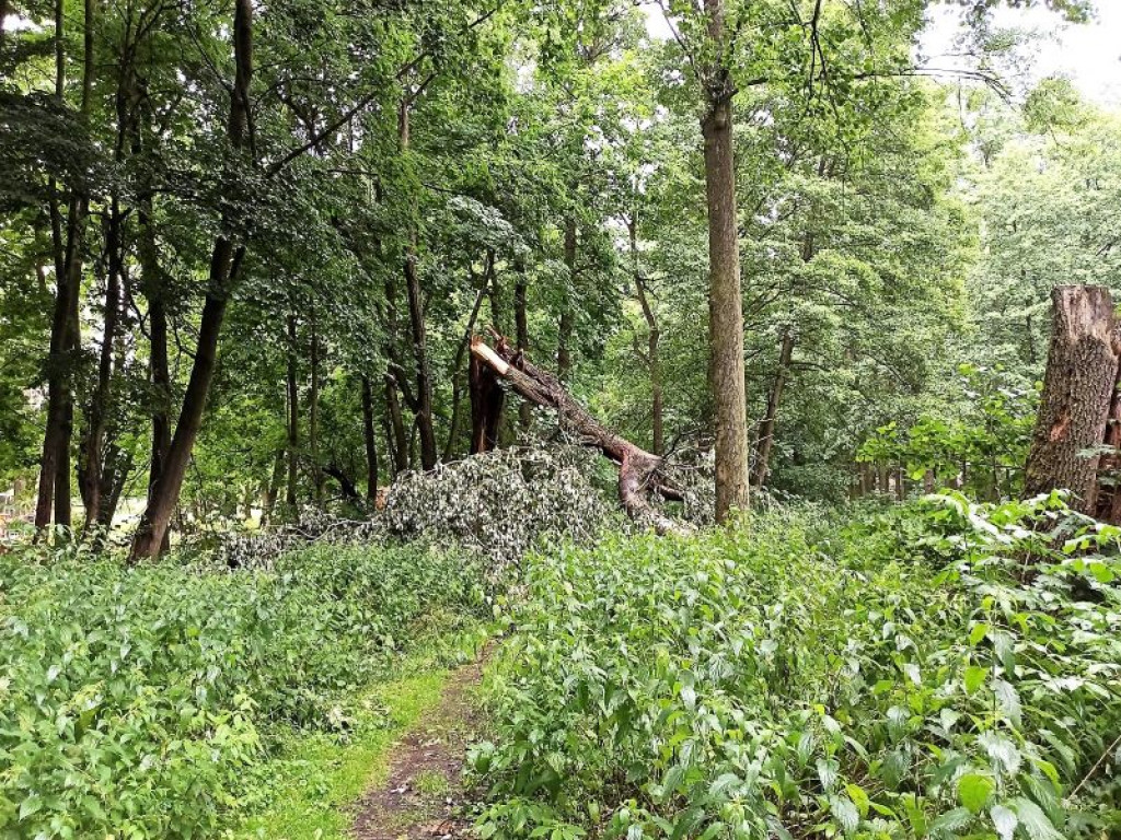 30 interwencji straży pożarnej