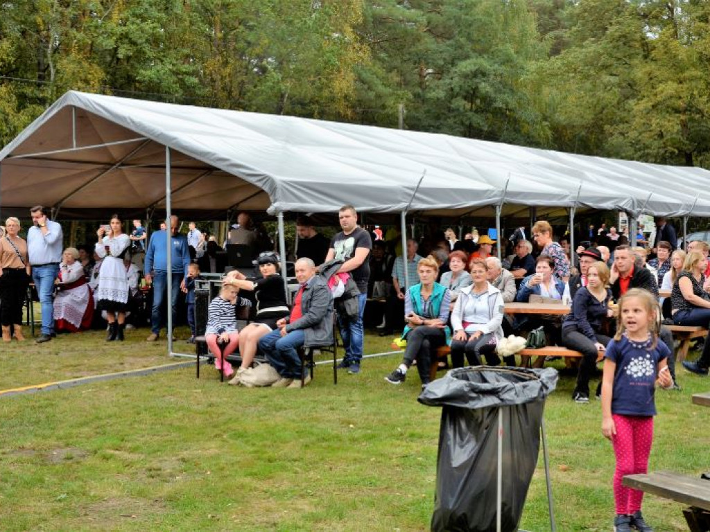 Na Końcu Świata' królował w tym roku ziemniak