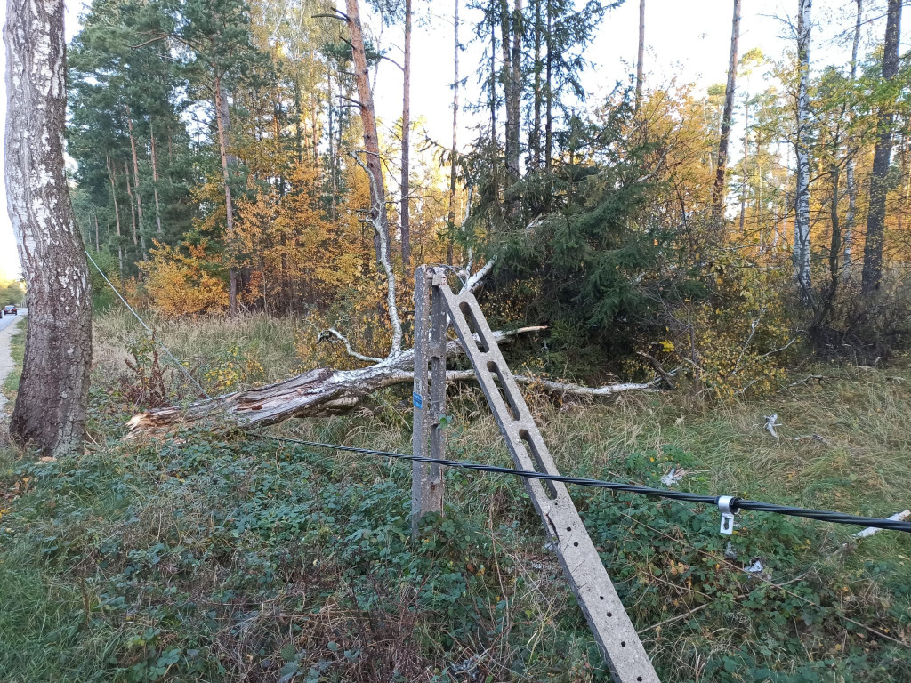 Wiatr zrywał dachy i łamał drzewa