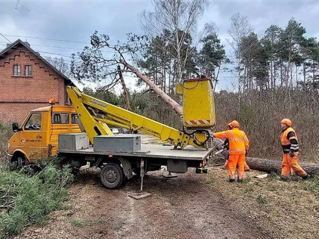 Pełne ręce roboty mają strażacy