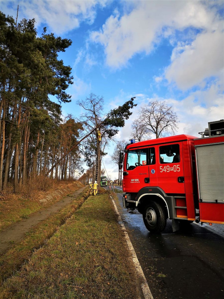 Pełne ręce roboty mają strażacy