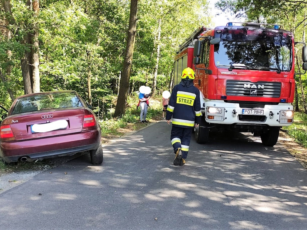 MUCHY: Uderzył w przydrożne drzewo
