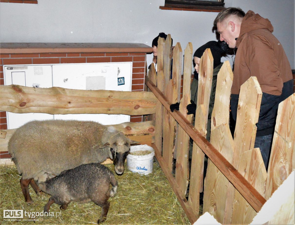 Jarmark Bożonarodzeniowy w Ostrzeszowie