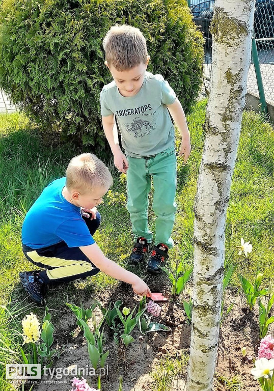 Dzień Ziemi w Przedszkolu w Mąkoszycach