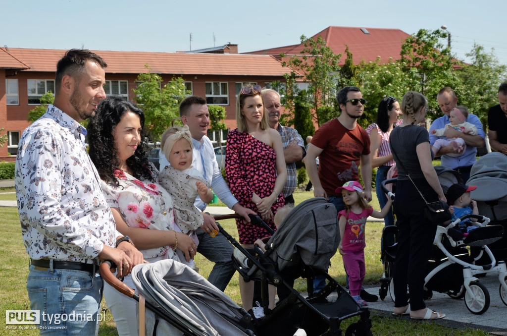 W Kraszewicach sadzili symboliczne drzewka