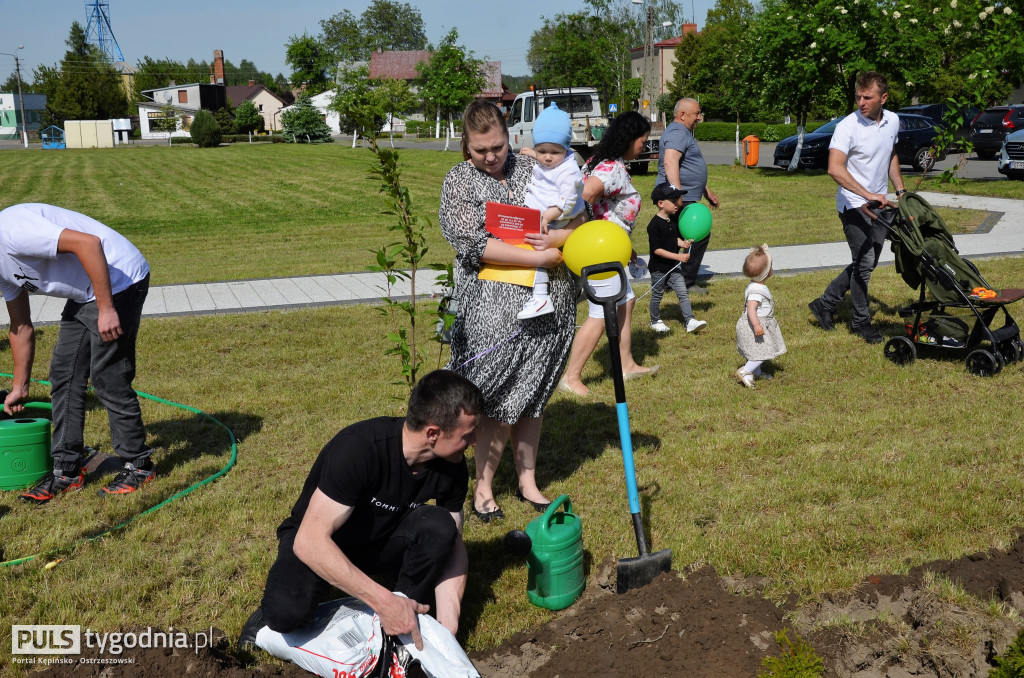 W Kraszewicach sadzili symboliczne drzewka