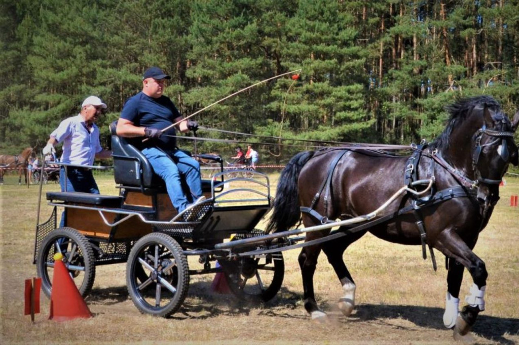 Amatorskie Zawody Zaprzęgowe w Kraszewicach