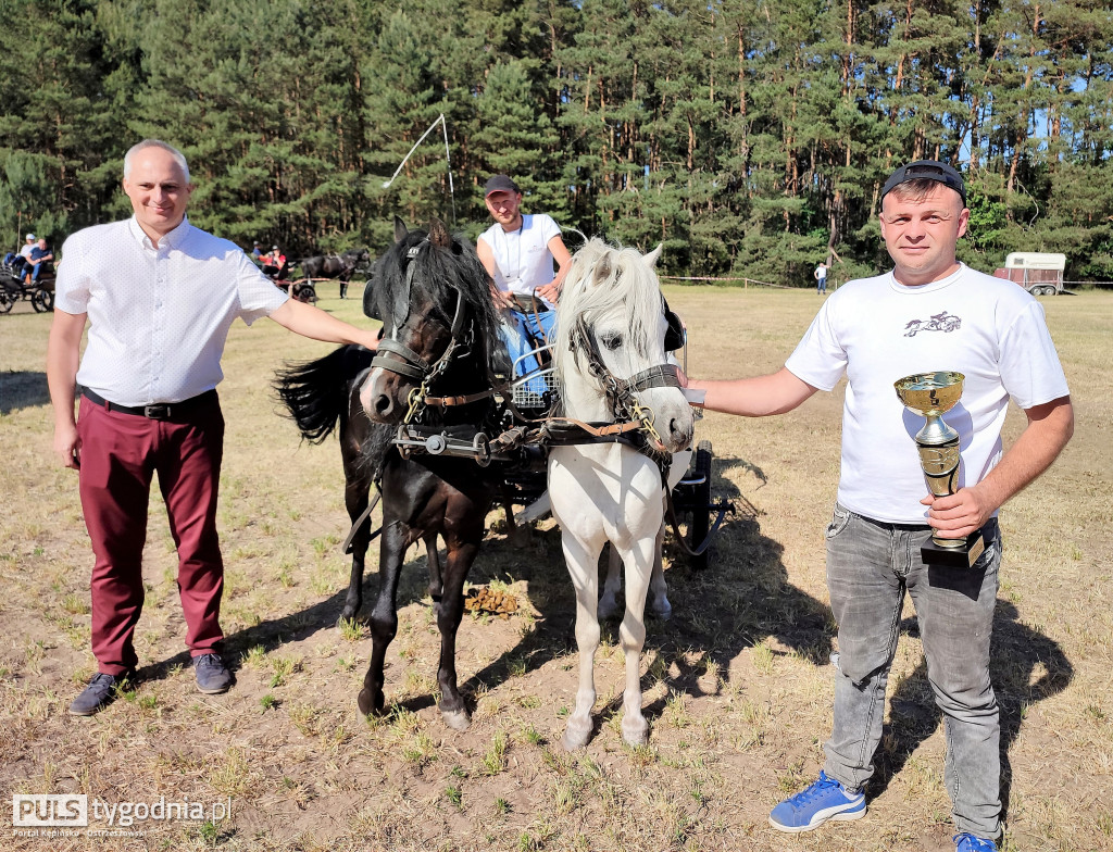 Amatorskie Zawody Zaprzęgowe w Kraszewicach