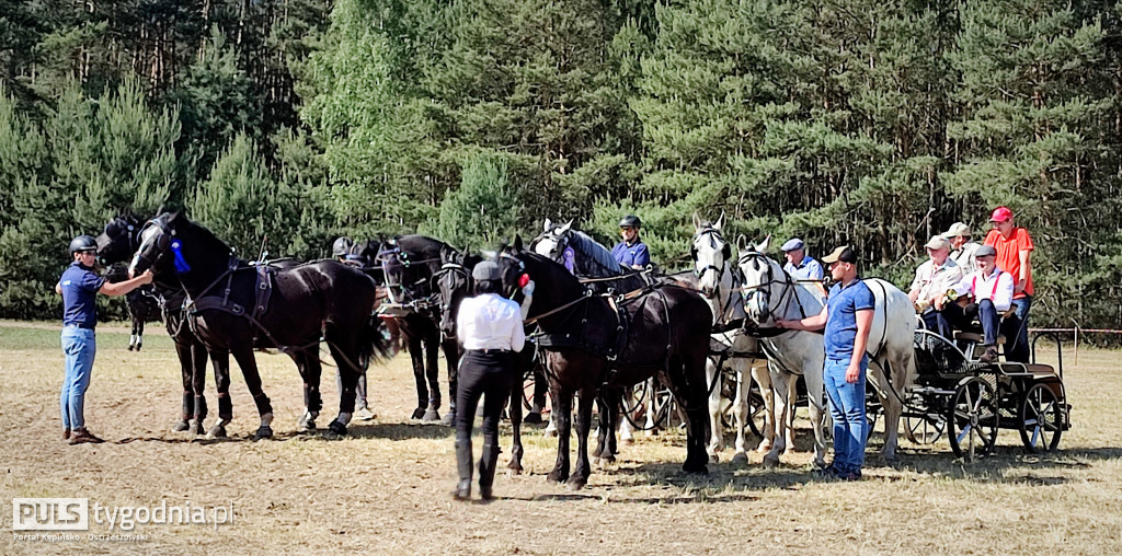 Amatorskie Zawody Zaprzęgowe w Kraszewicach