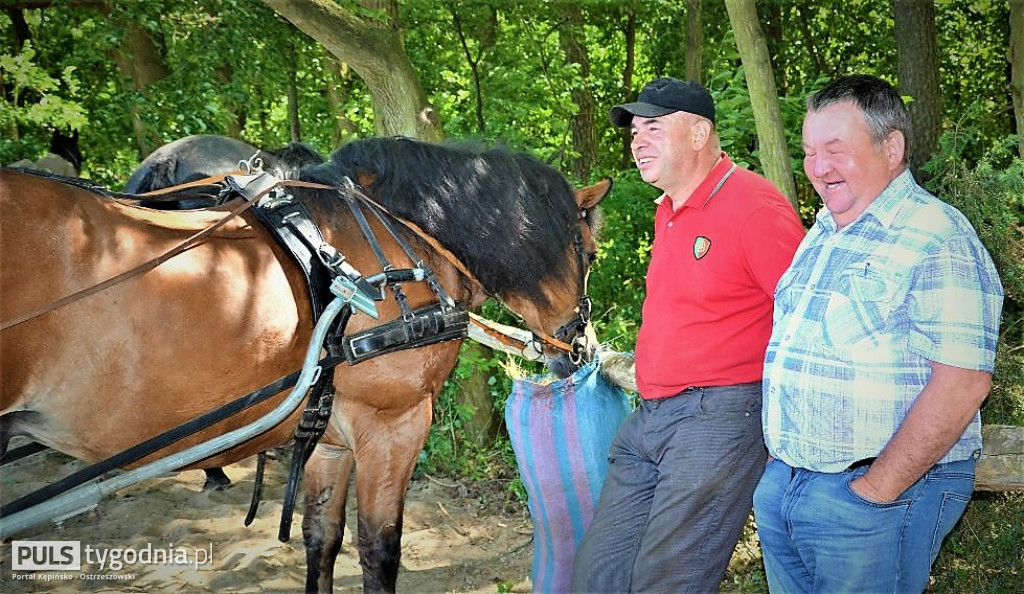 Amatorskie Zawody Zaprzęgowe w Kraszewicach