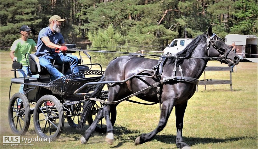 Amatorskie Zawody Zaprzęgowe w Kraszewicach