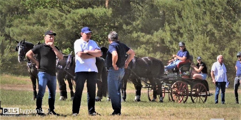 Amatorskie Zawody Zaprzęgowe w Kraszewicach