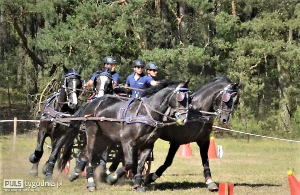 Amatorskie Zawody Zaprzęgowe w Kraszewicach