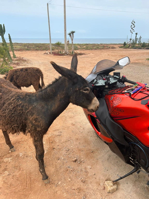 Wyruszyli z Doruchowa na motocyklach do Afryki