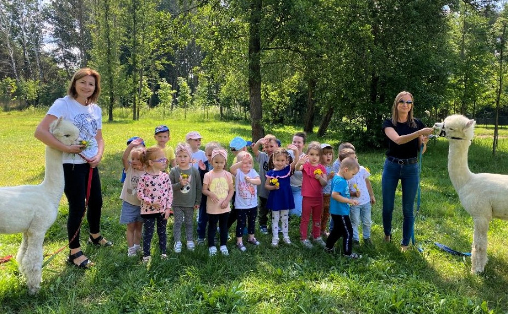 Piknik Przedszkolaków i spotkanie z alpakami